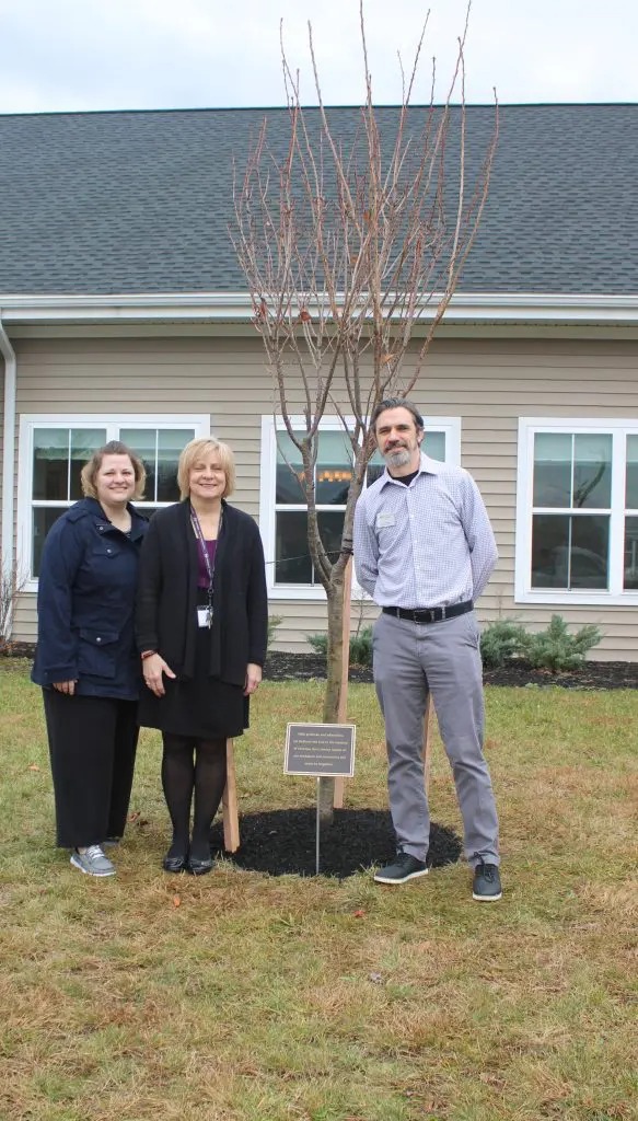 Memory Tree Tribute