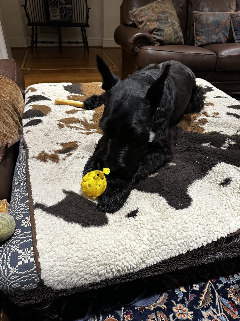 Jett’s Pickleball Fiasco