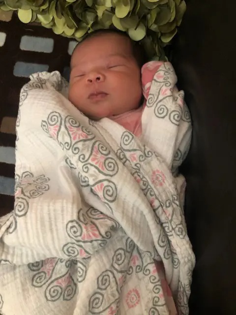 Wyomissing Baby Boom