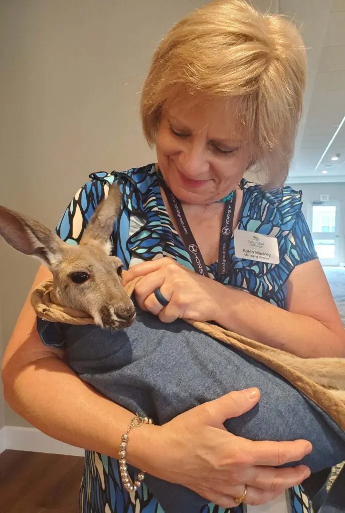 Fun with Kangaroos!
