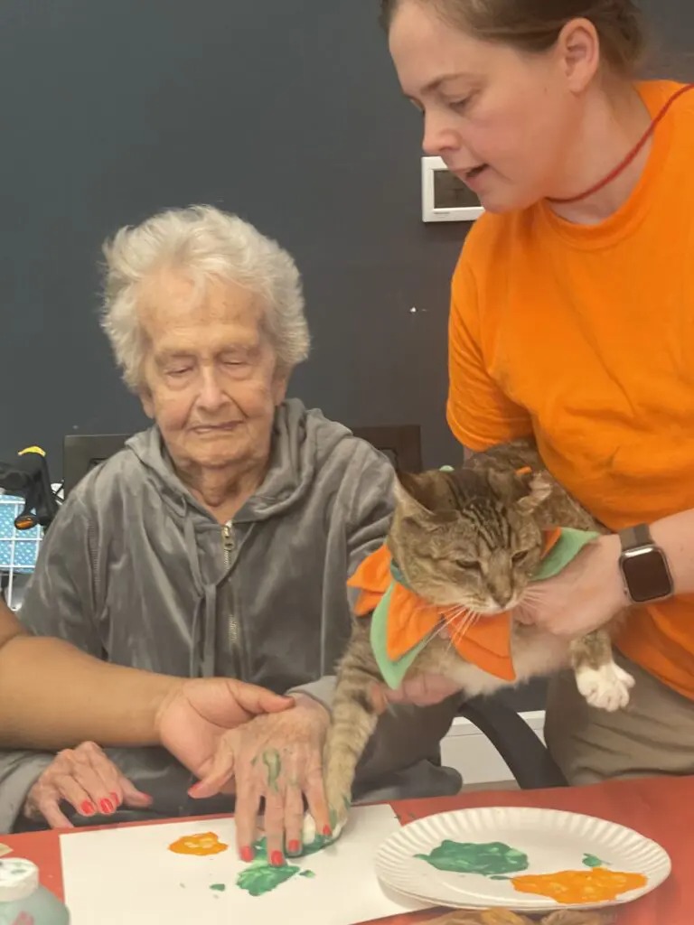 Cat Painting