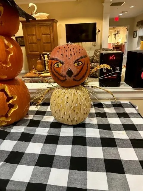 Pumpkin Palooza